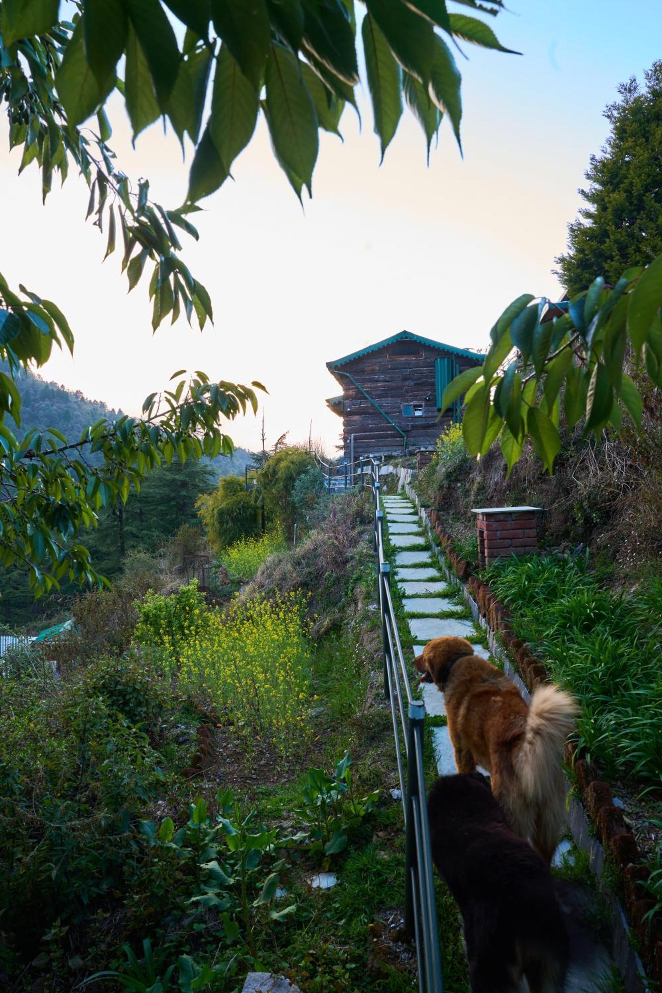 Seegreen Lodges ムスーリー エクステリア 写真